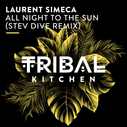 Laurent Simeca - All Night to the Sun (Stev Dive Remix) [TK297]